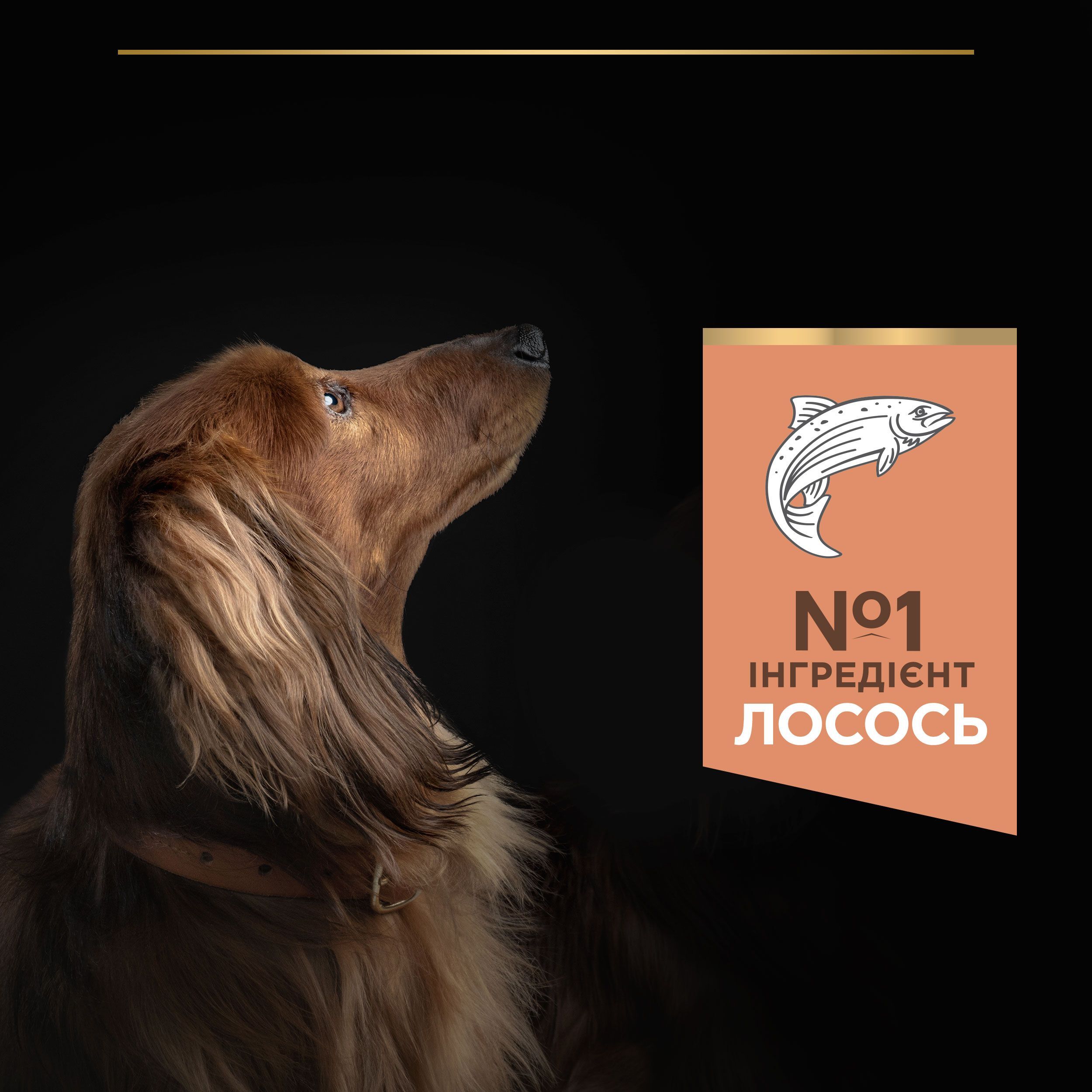 Сухий корм для собак дрібних порід з чутливою шкірою Purina Pro Plan Adult з лососем і рисом 7 кгфото7