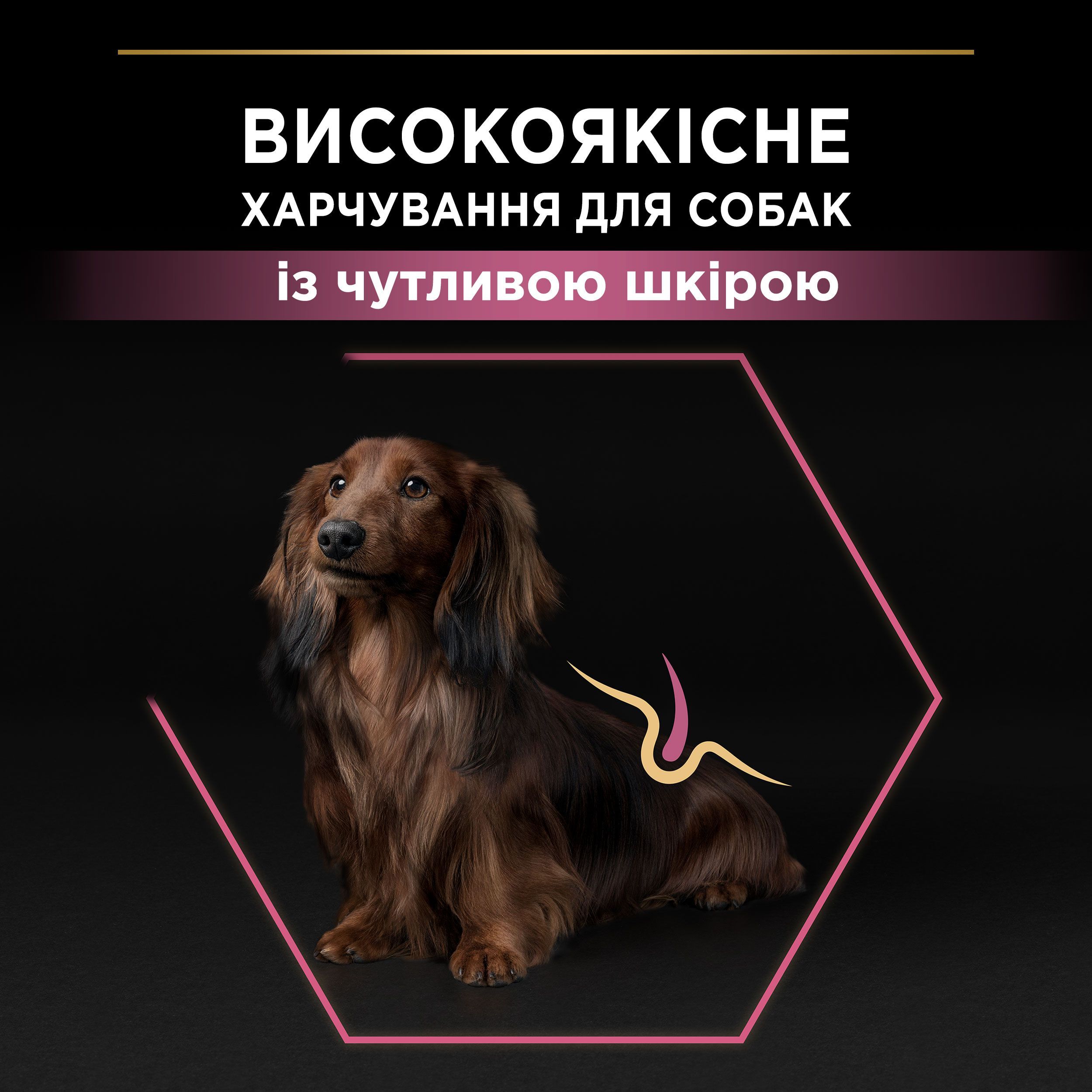 Сухий корм для собак дрібних порід з чутливою шкірою Purina Pro Plan Adult з лососем і рисом 7 кгфото6