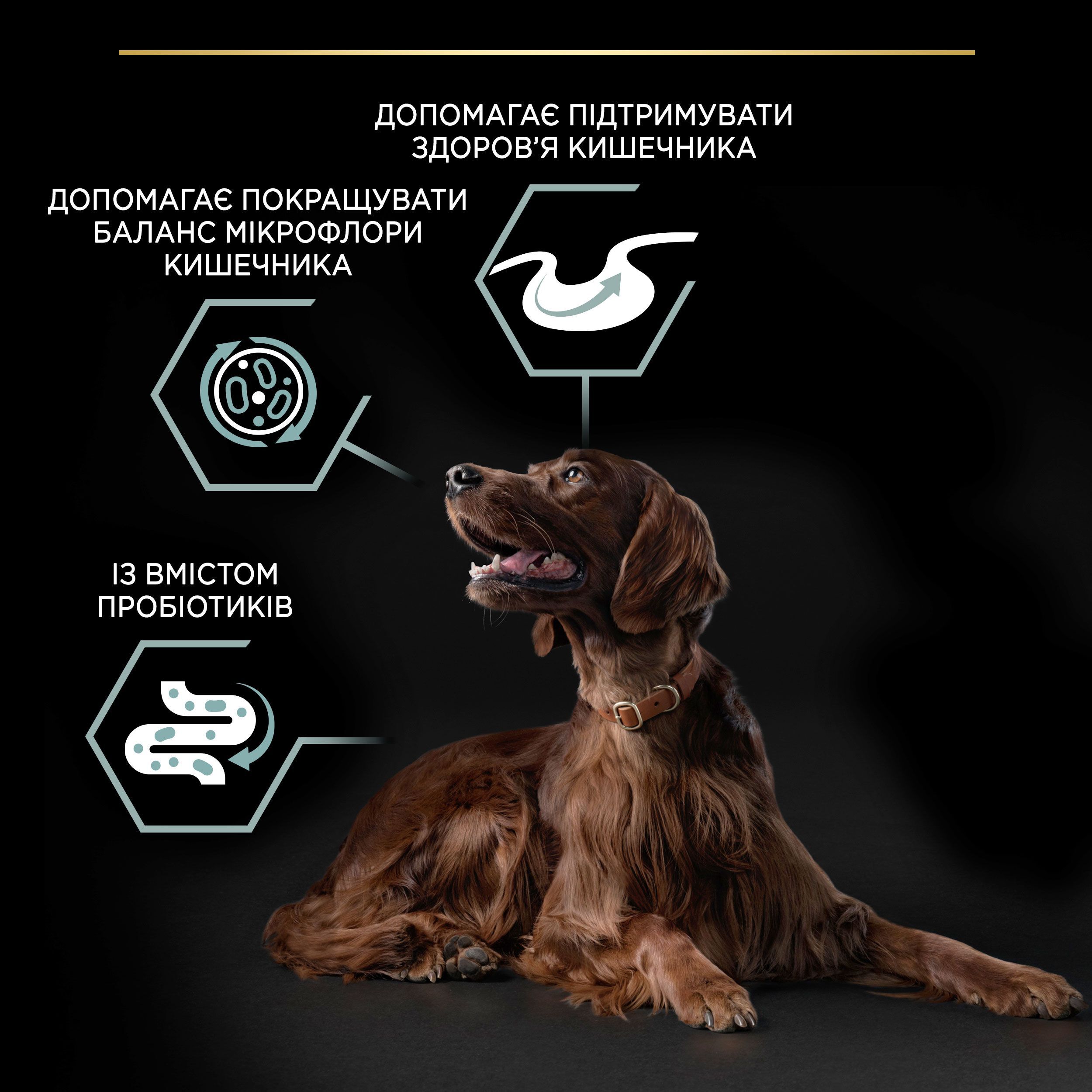 Сухий корм для собак великих порід з атлетичною тілобудовою Purina ProPlan Large Athletic з ягням 14 кгфото