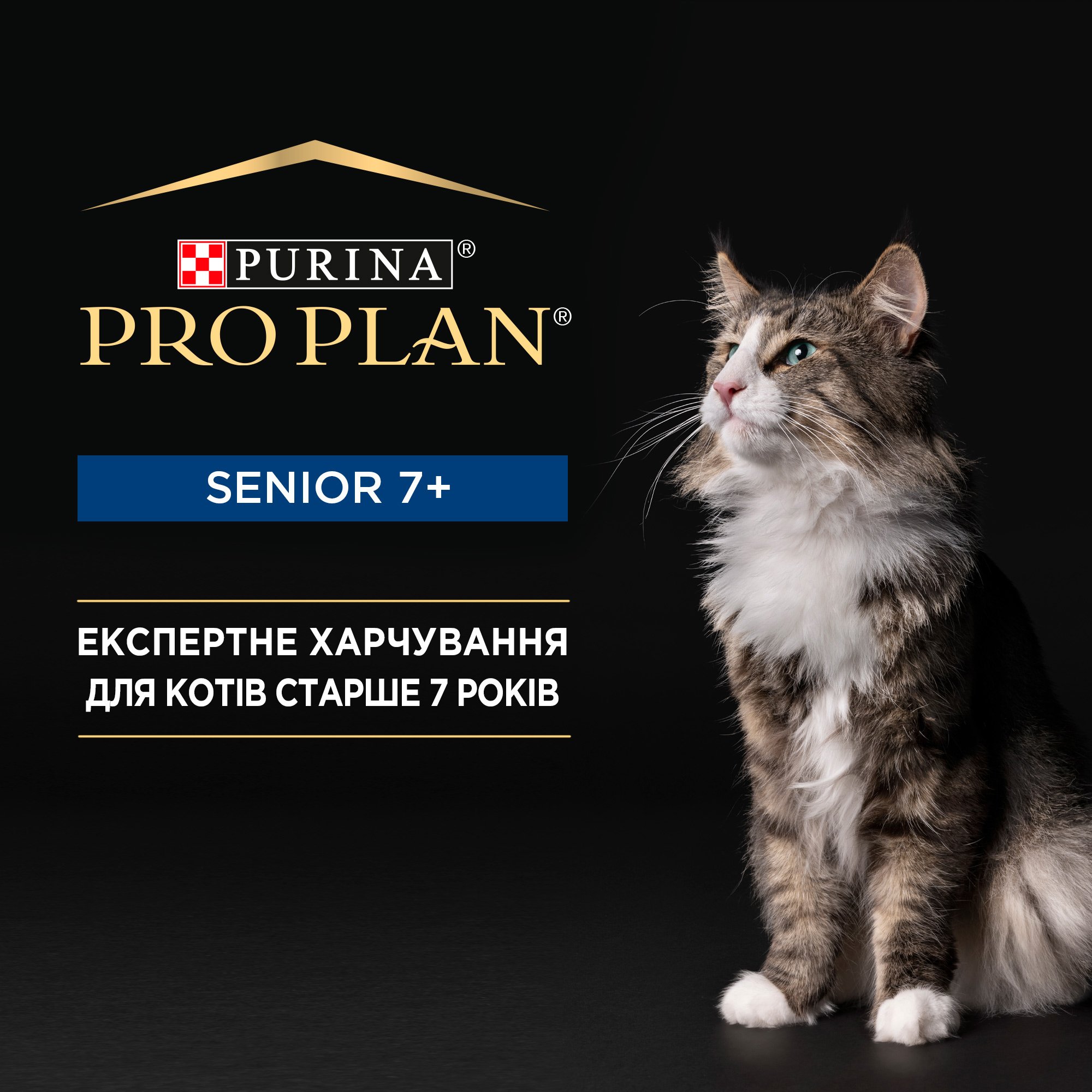Влажный корм для кошек старше 7 лет Purina ProPlan Senior с тунцом, 85 г фото 6