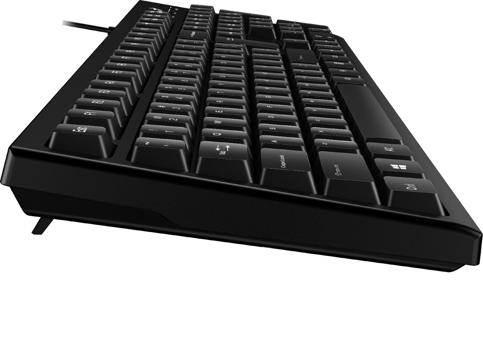 Клавіатура Genius KB-100 USB Black (31300005410)фото5