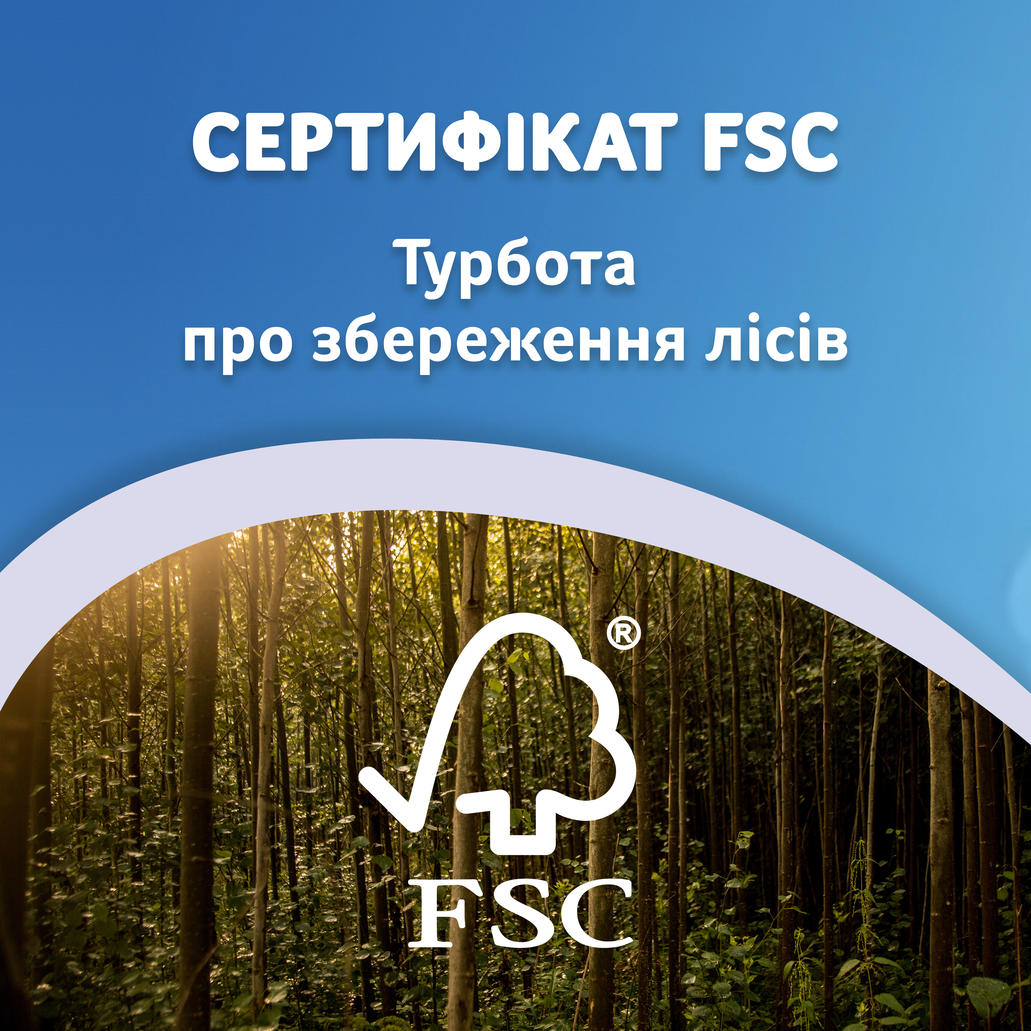 Серветки косметичні Zewa Everyday 100штфото12