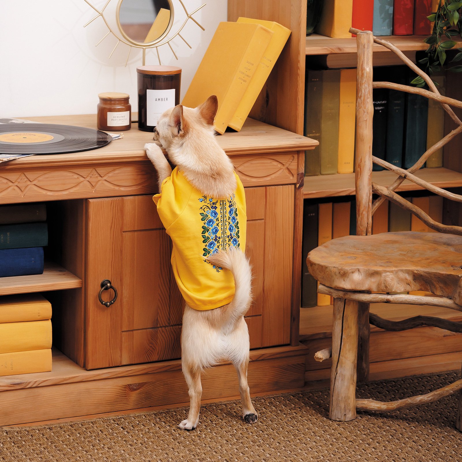 Футболка Pet Fashion Maria S2 дівчинкафото