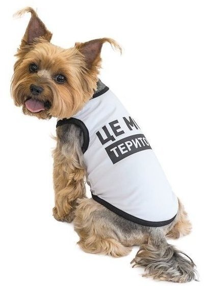Борцювання для собак Pet Fashion Це моя територія M білафото2
