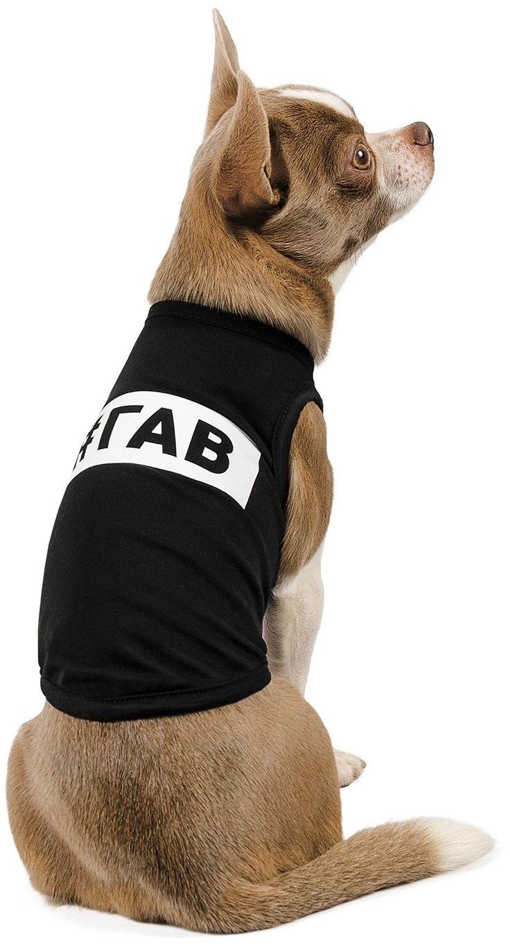 Борцовка для собак Pet Fashion #ГАВ S черная фото 2