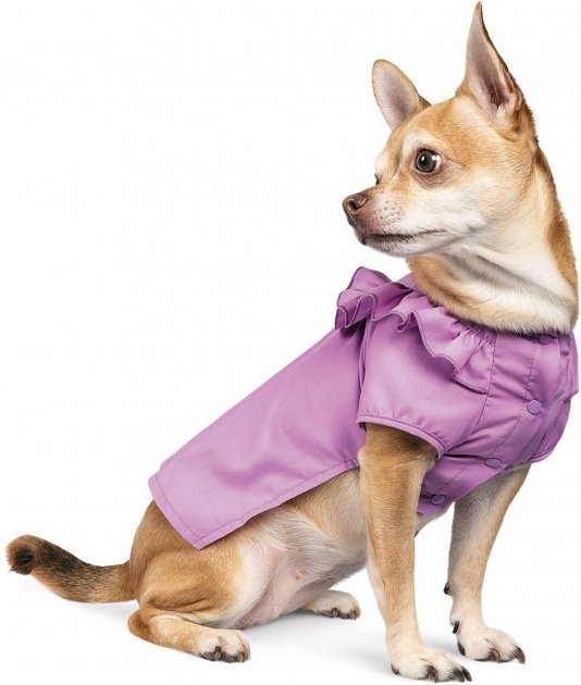 Блуза для собак Pet Fashion Місяць Sфото3