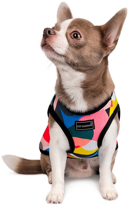 Борцівка для собак Pet Fashion COOL Mфото2