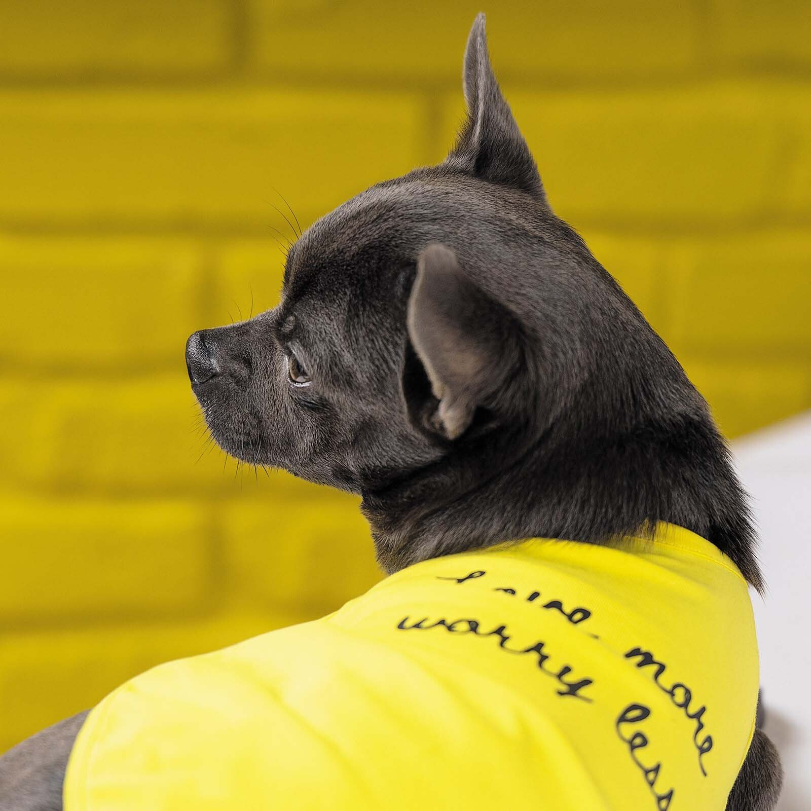 Борцовка для собак Pet Fashion Puppy желтая S фото 5
