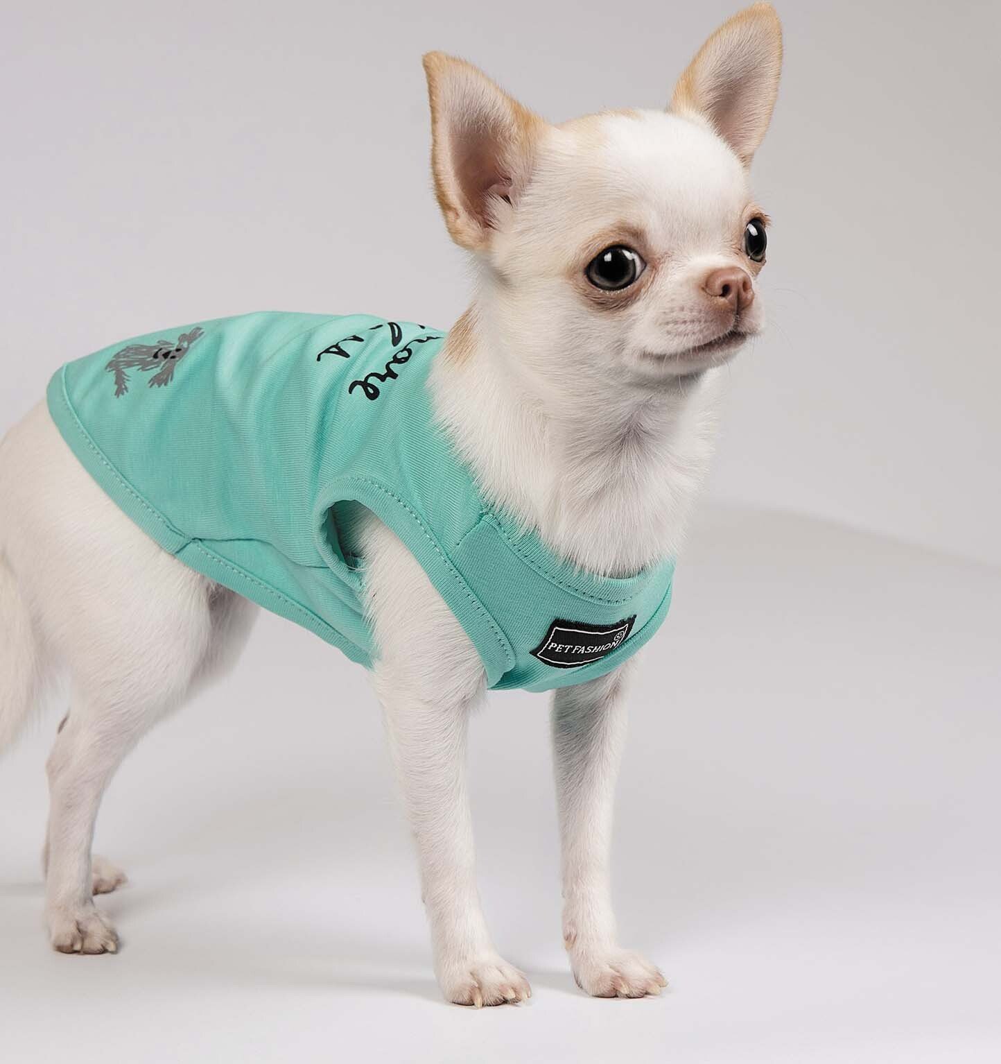 Борцовка для собак Pet Fashion Puppy мята S фото 5