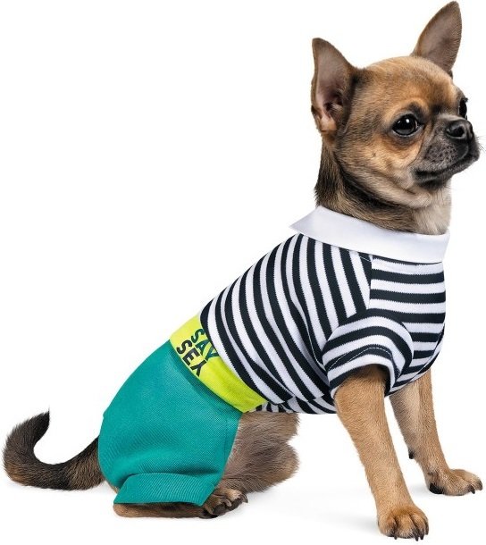 Костюм для собак Pet Fashion STRIP XS фото 2