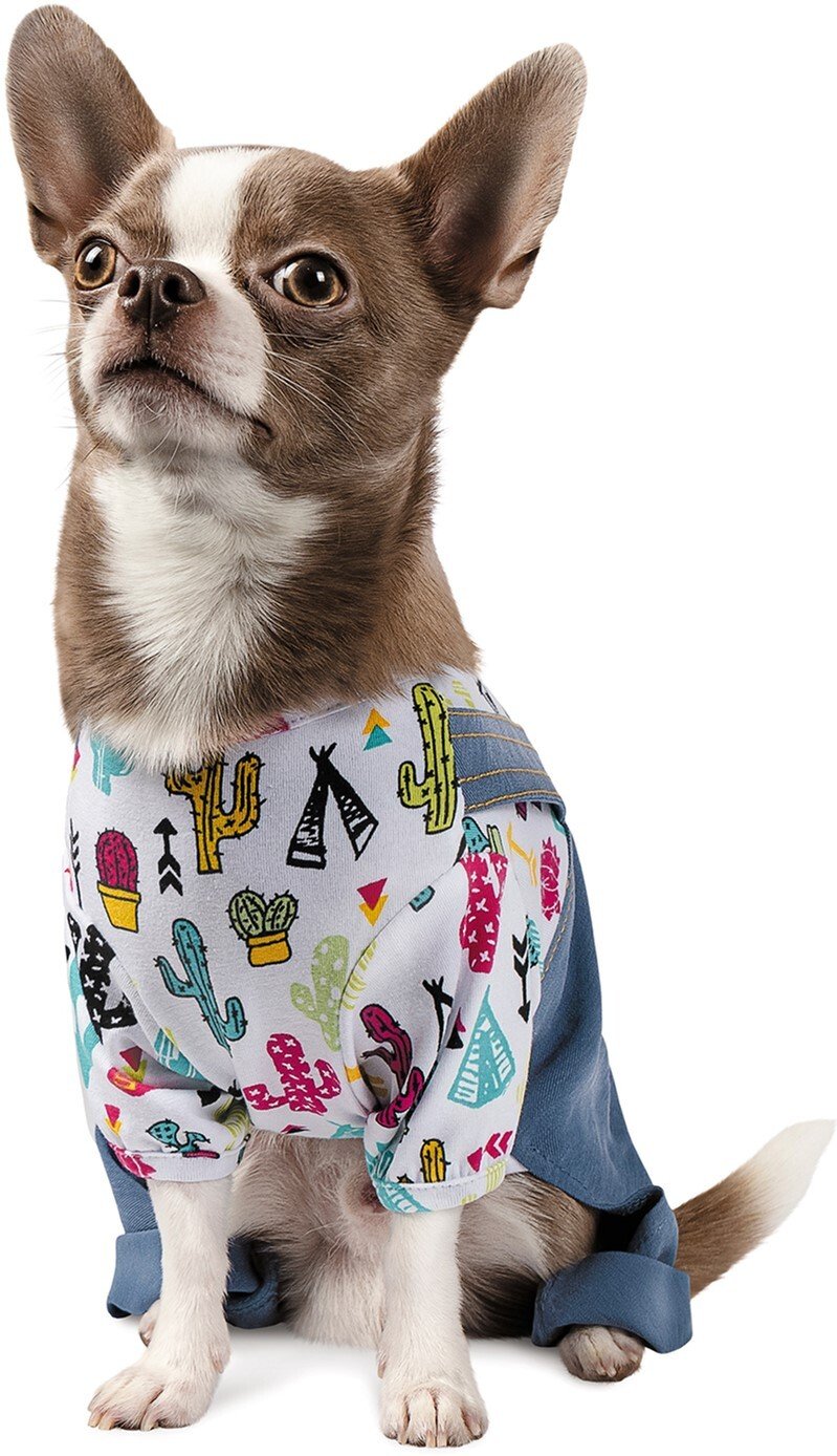 Костюм для собак Pet Fashion Астро S фото 2