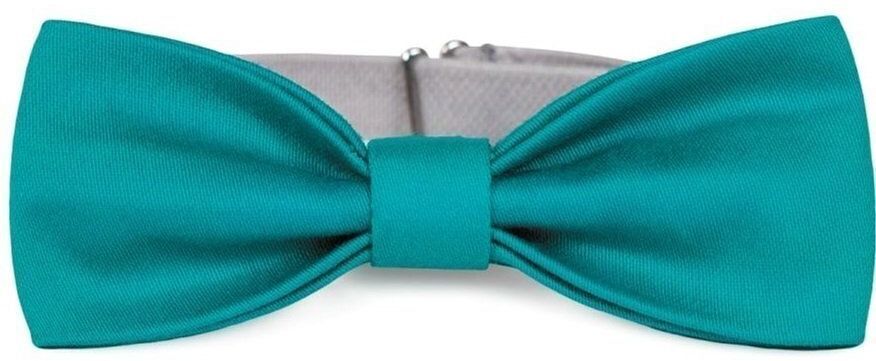 Метелик для собак Pet Fashion XS-M бирюзовафото2