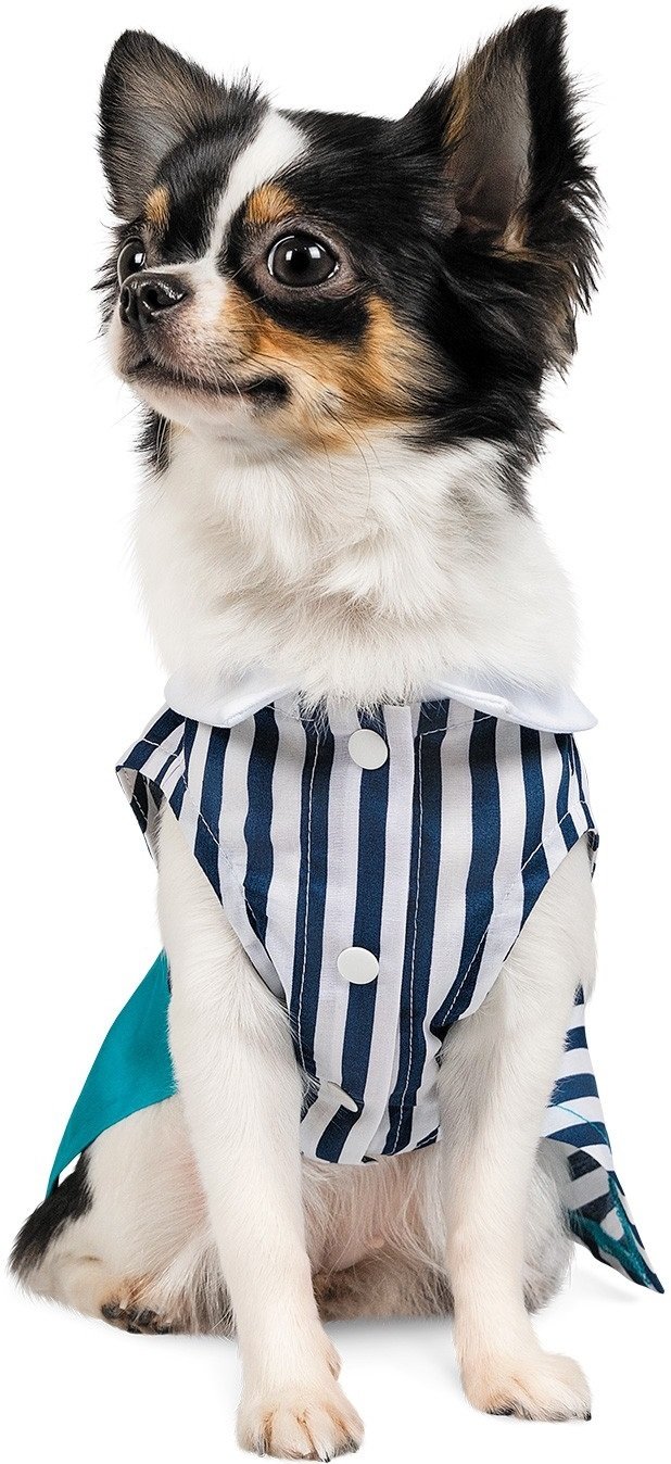 Платье для собак Pet Fashion Band XS фото 2