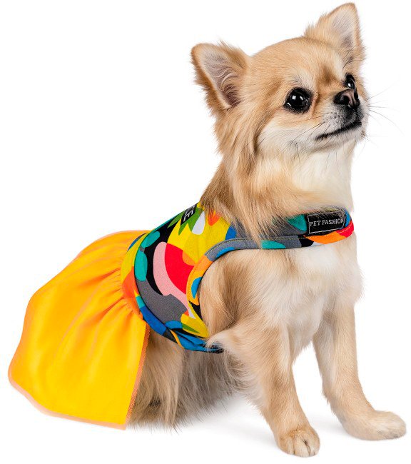 Сукня для собак Pet Fashion SUN Мфото3