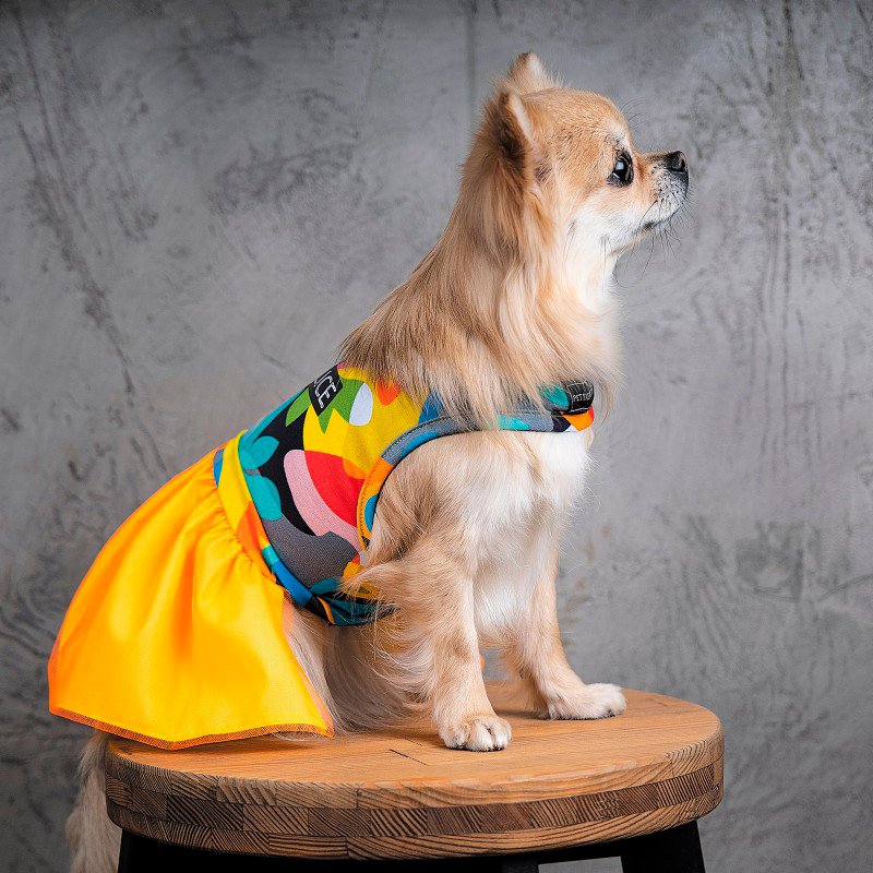 Платье для собак Pet Fashion SUN М фото 5