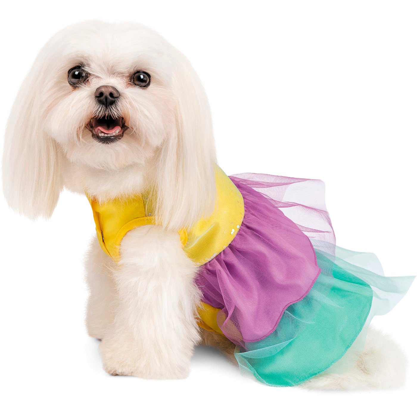 Сукня для собак Pet Fashion ЛІРА XS-2фото3