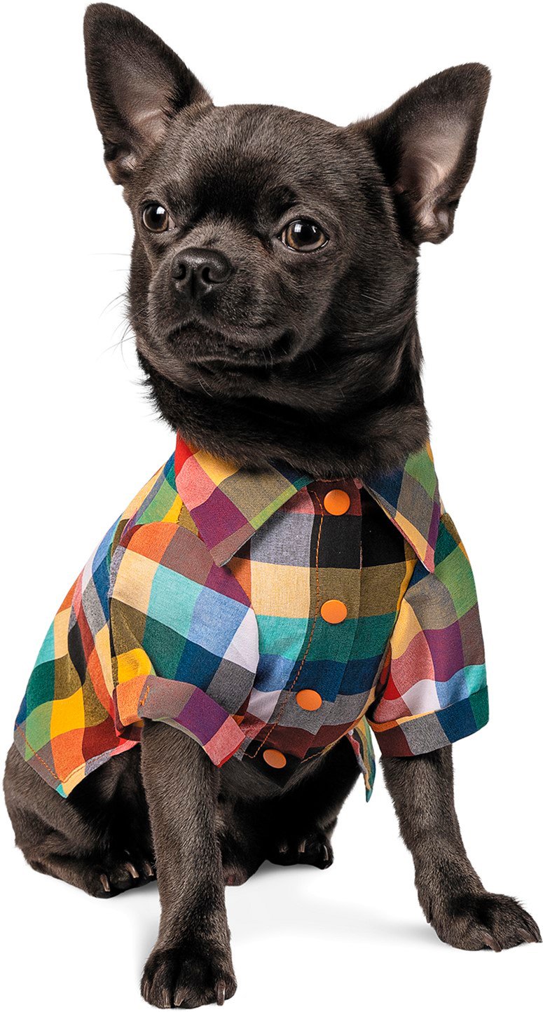 Сорочка для собак Pet Fashion Стітч Sфото2