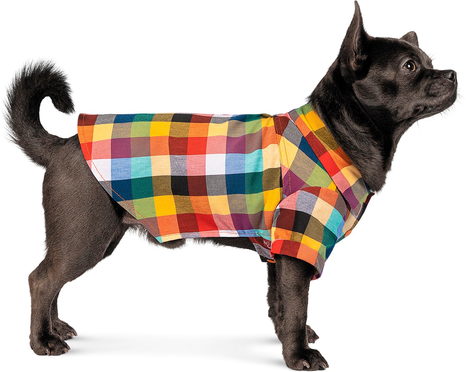 Сорочка для собак Pet Fashion Стітч Sфото3