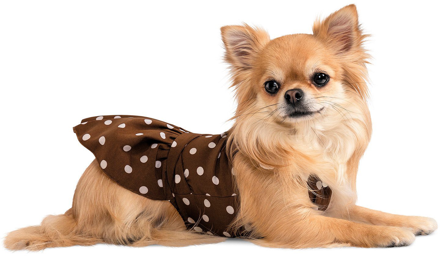 Платье для собак Pet Fashion FLIRT S фото 2