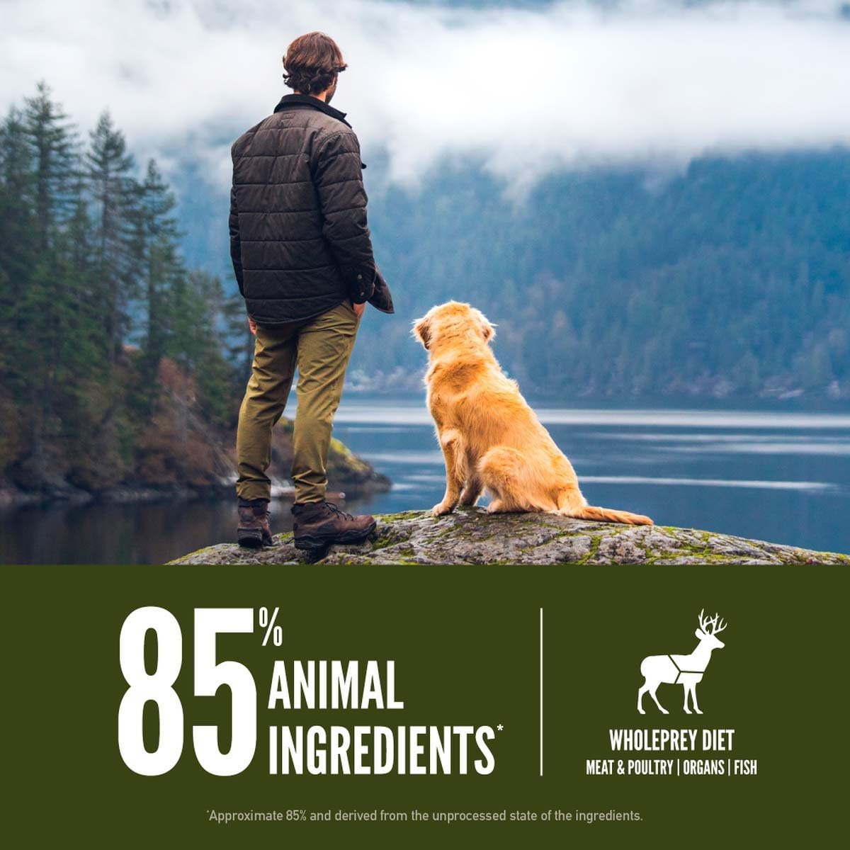 Сухий корм для собак усіх порід та вікових груп Orijen Tundra Dog з м`ясом дичини, риби та птиці 11.4 кгфото7