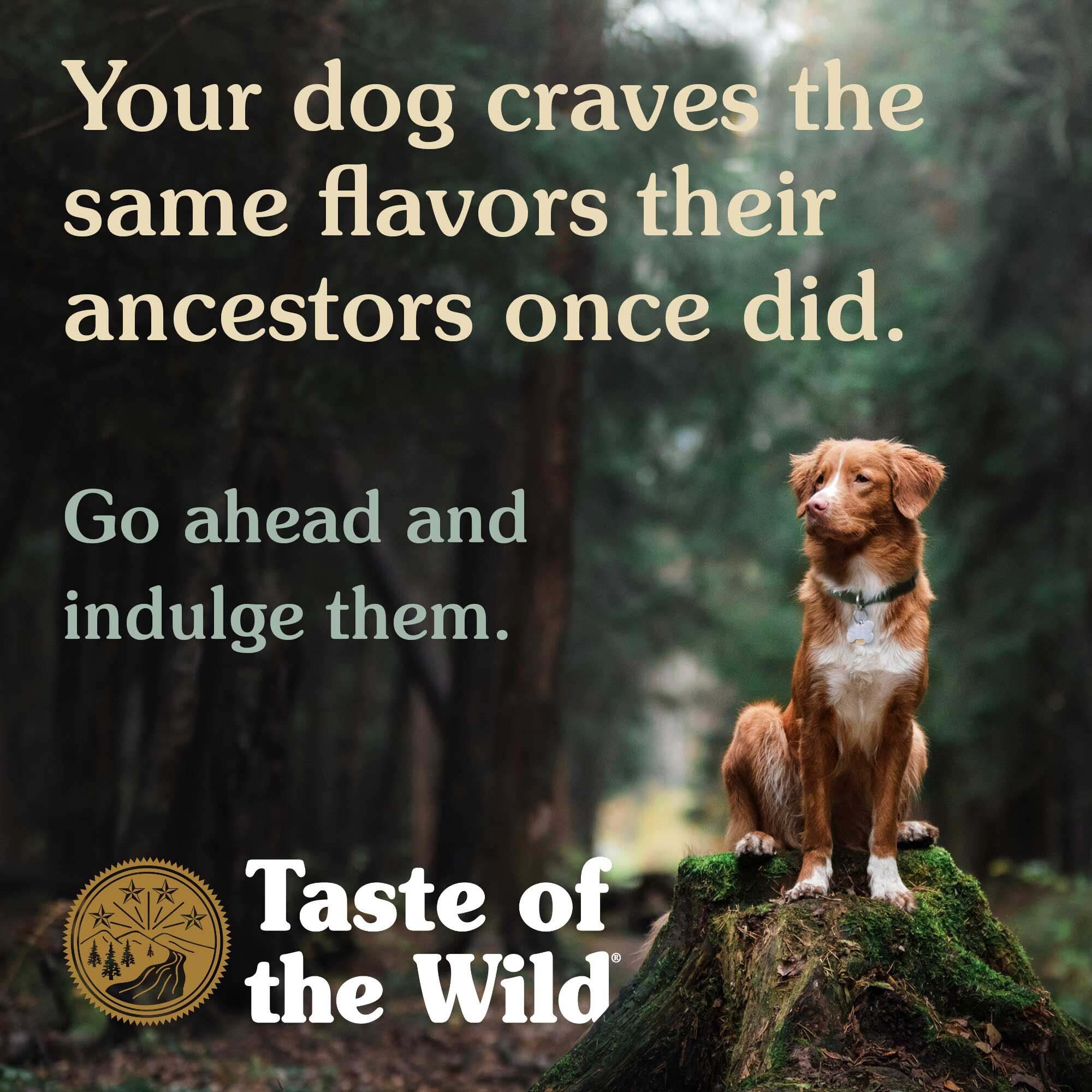 Сухий корм для собак Taste of the Wild High Prairie Canine Recipe з бізоном та олениною 5.6 кгфото5