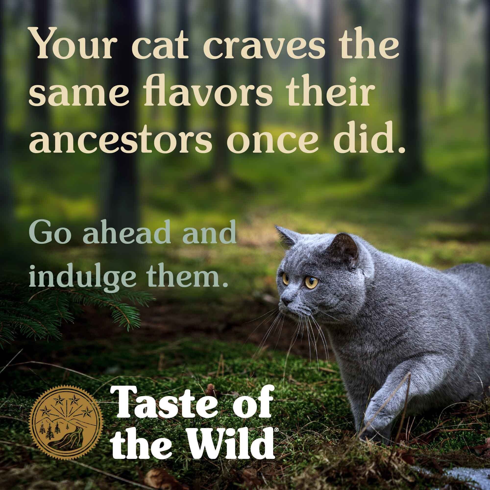 Сухой корм для кошек Taste of the Wild Lowland Creek Feline Recipe with Quail & Duck с перепелом и уткой 2 кг фото 4