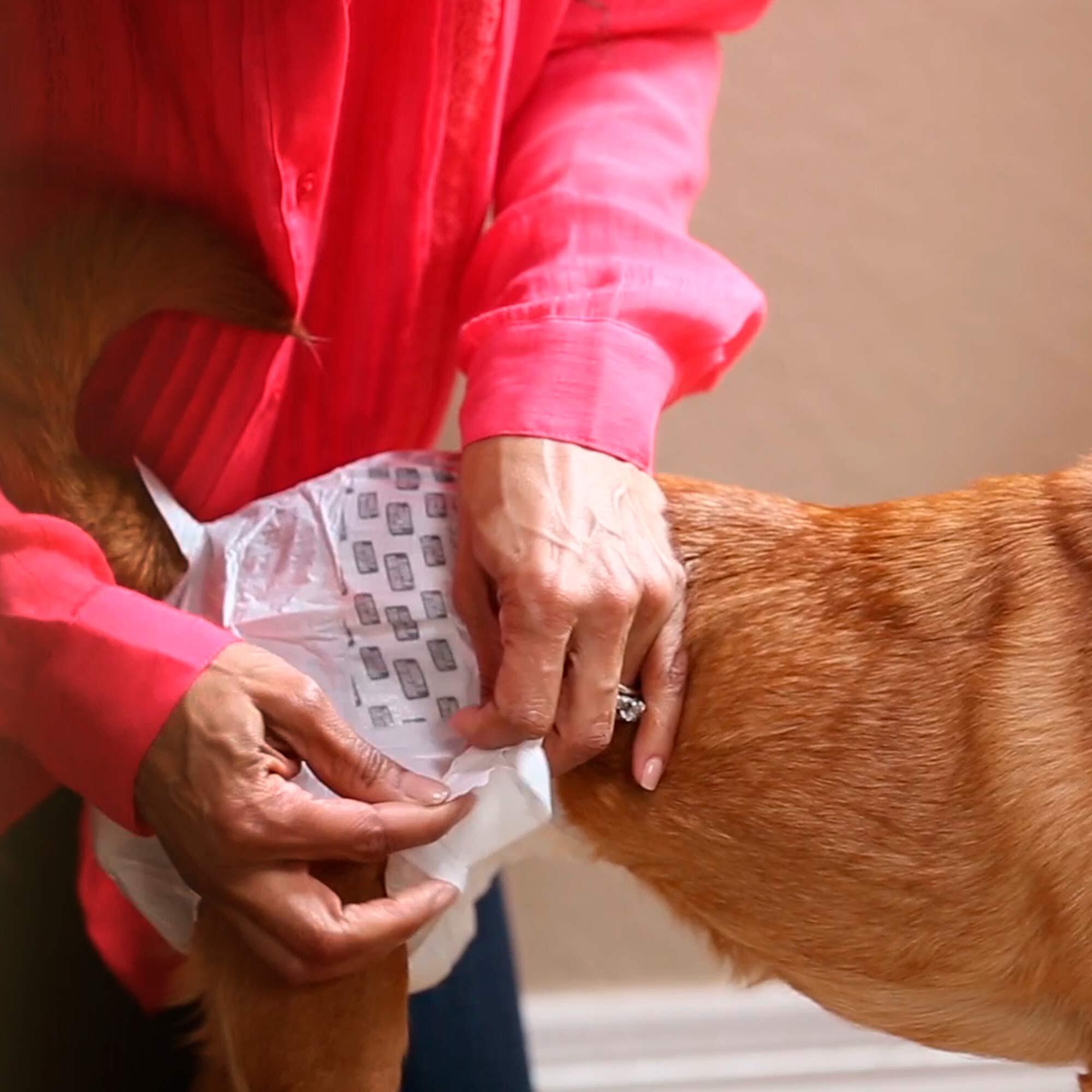 Гігієнічні прокладки для собак Simple Solution Disposable Diapers XS/TOY 12 штфото2
