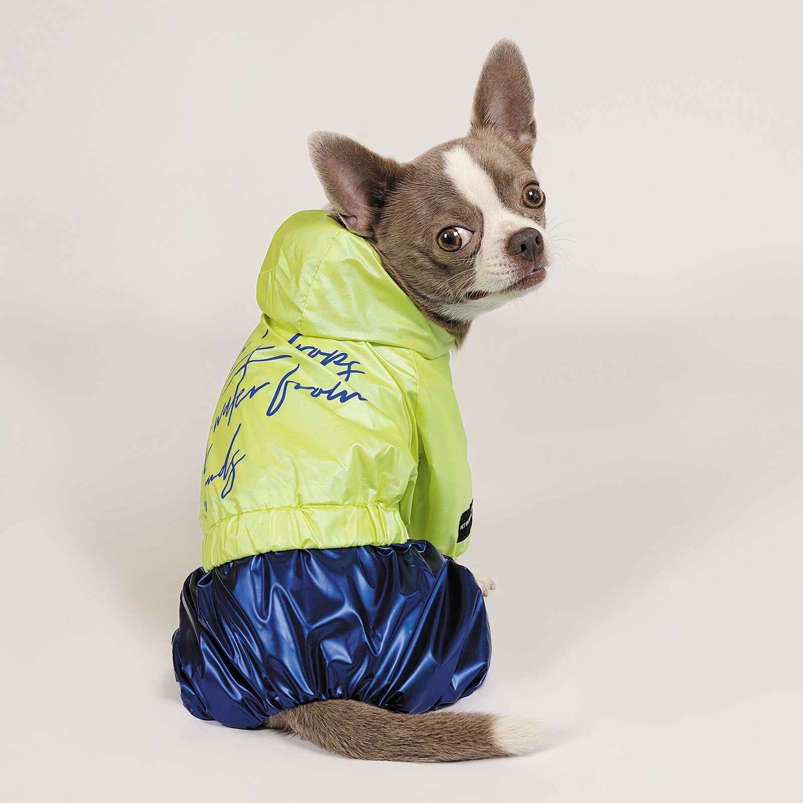Дождевик для собак Pet Fashion PULSE S фото 4