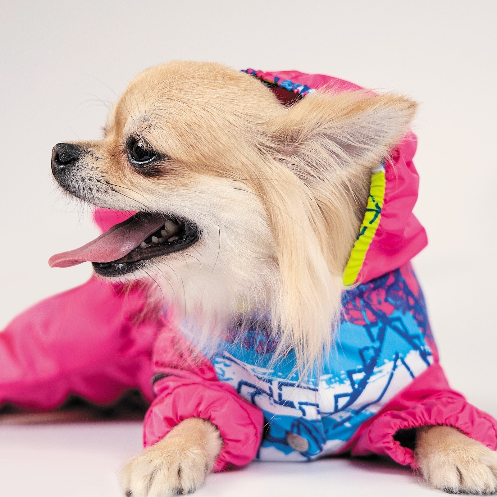 Дождевик для собак Pet Fashion девочка JUICY М фото 3