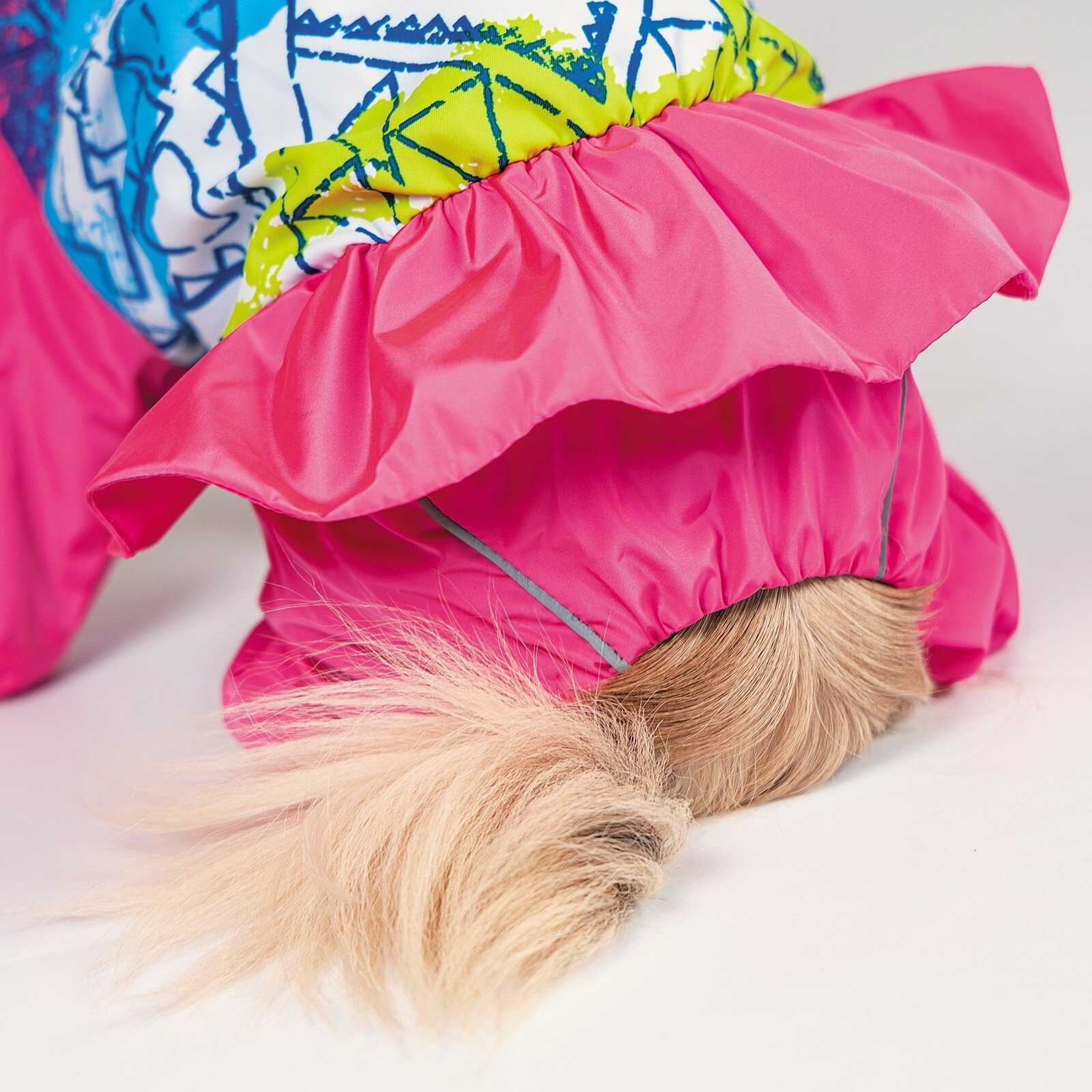 Дощовик для собак Pet Fashion дівчинка JUICY XS-2фото4