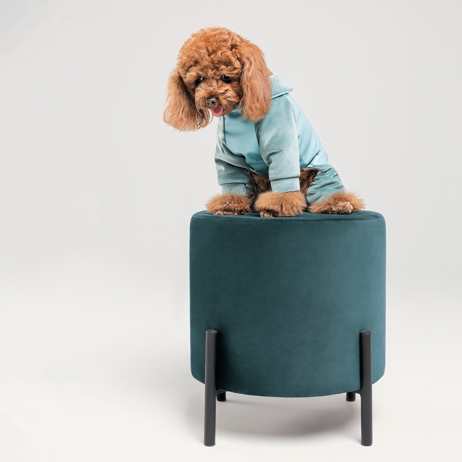 Комбінезон для собак Pet Fashion COMFORT Mфото5