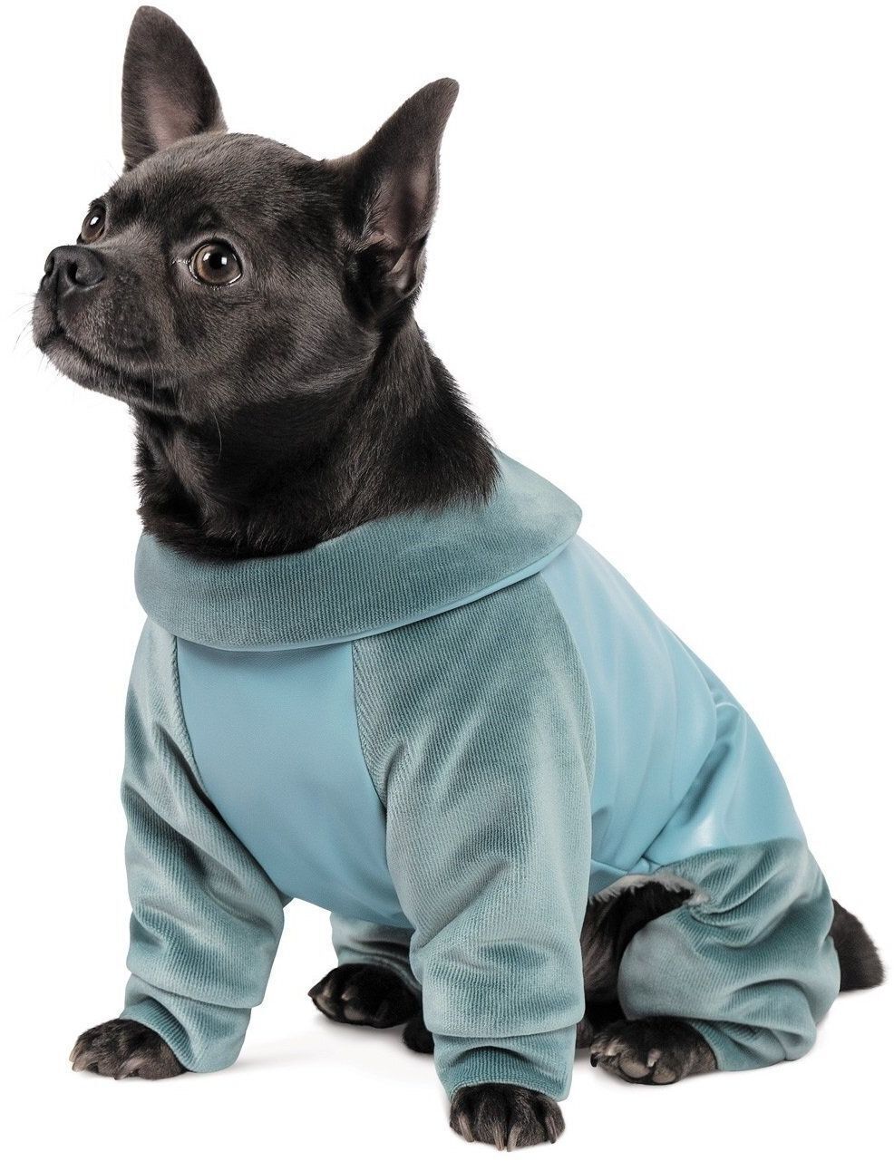 Комбінезон для собак Pet Fashion COMFORT XSфото2