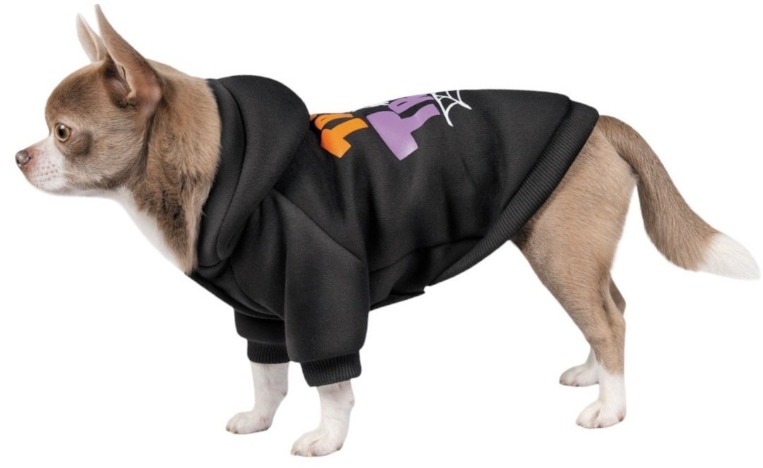 Толстовка для собак Pet Fashion WEB Mфото3