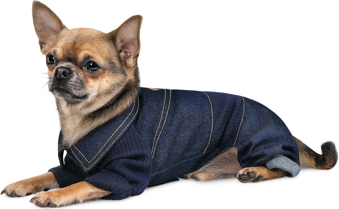 Комбінезон для собак Pet Fashion Jeans M темно-синійфото2