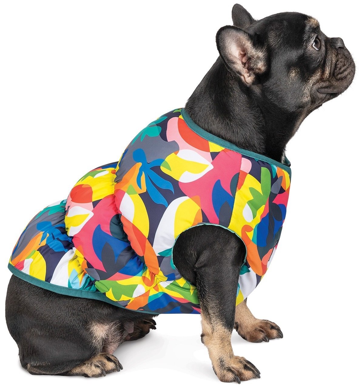 Жилет для собак Pet Fashion SPRING принт ХXSфото2