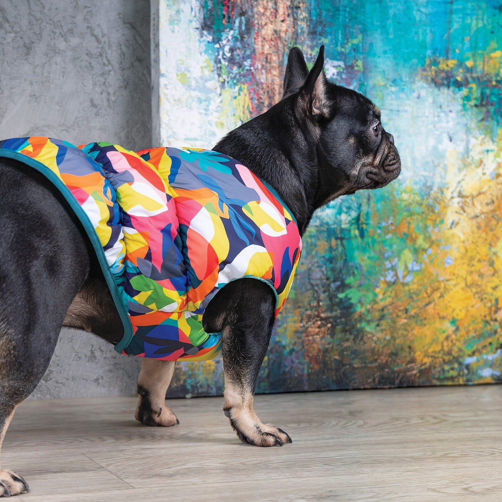 Жилет для собак Pet Fashion SPRING принт ХXS фото 6