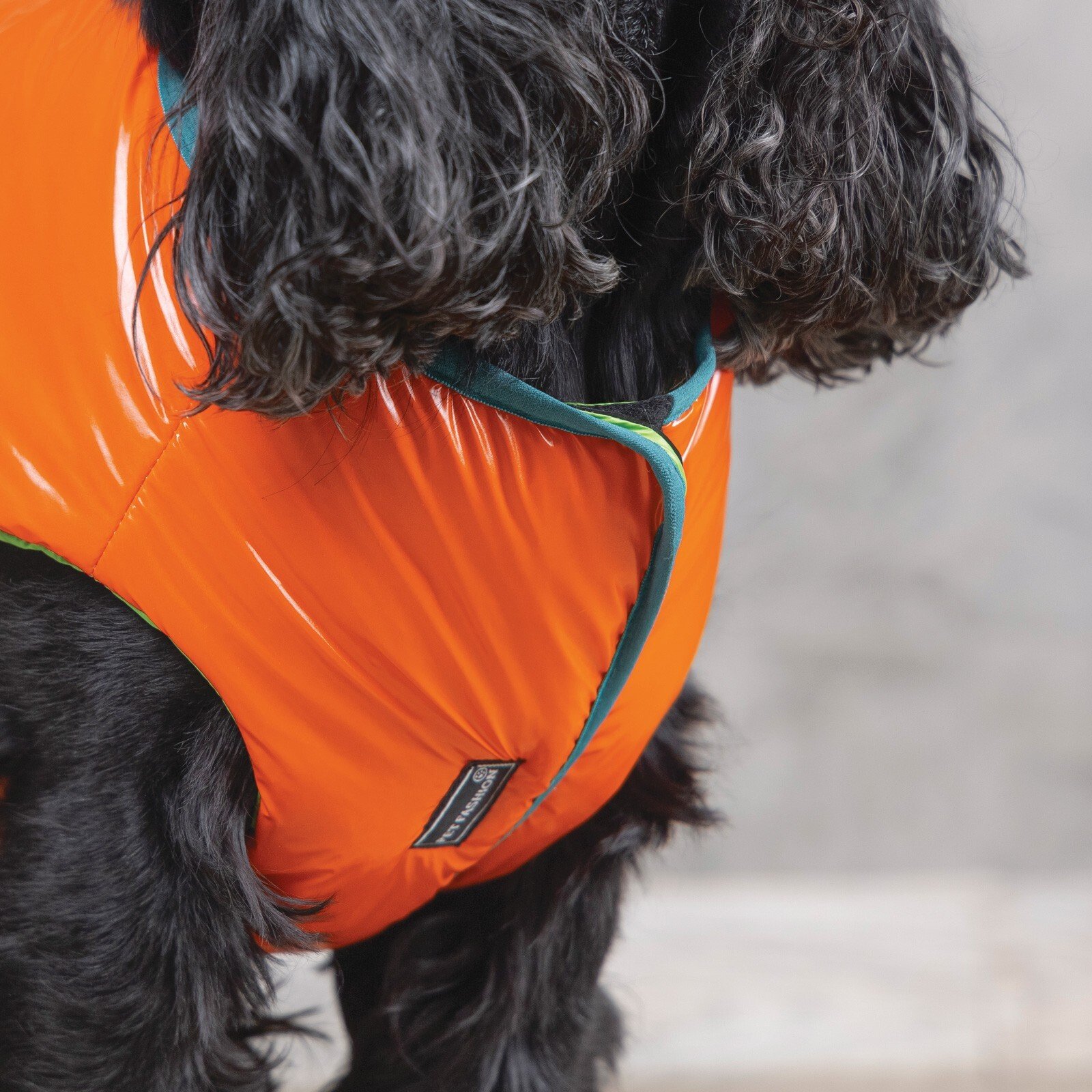 Жилет для собак Pet Fashion SPRING оранжевый M фото 5