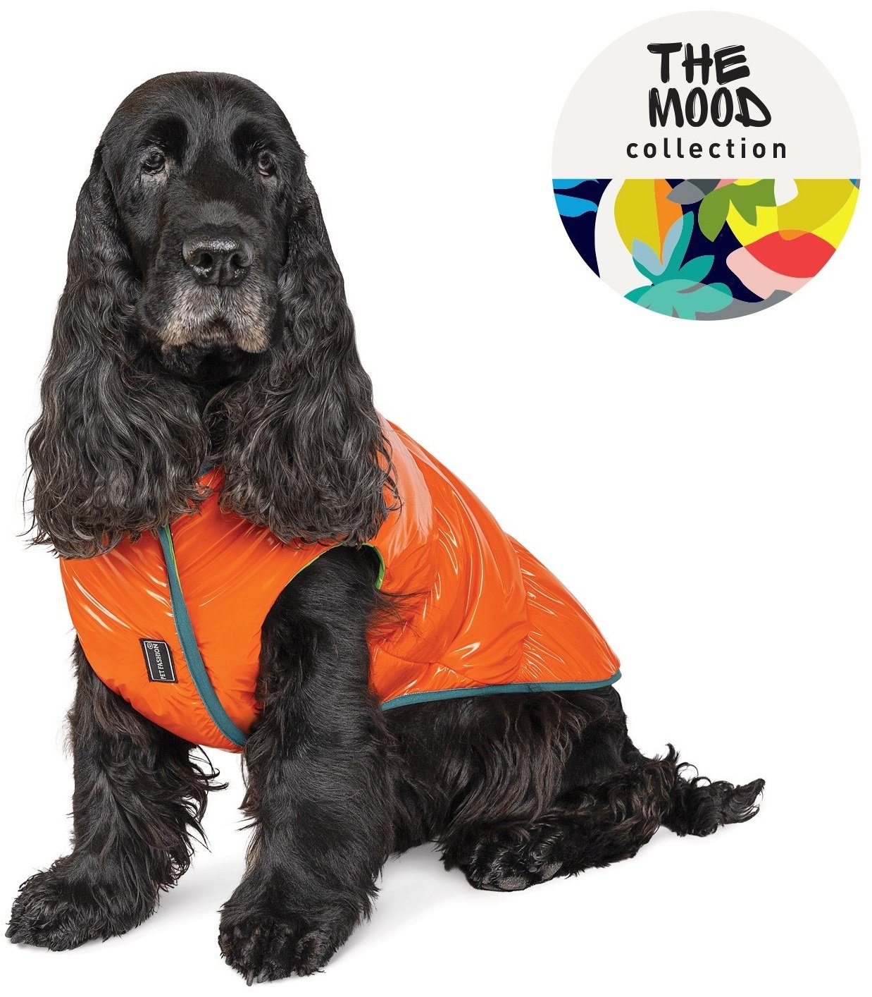 Жилет для собак Pet Fashion SPRING оранжевый M фото 3
