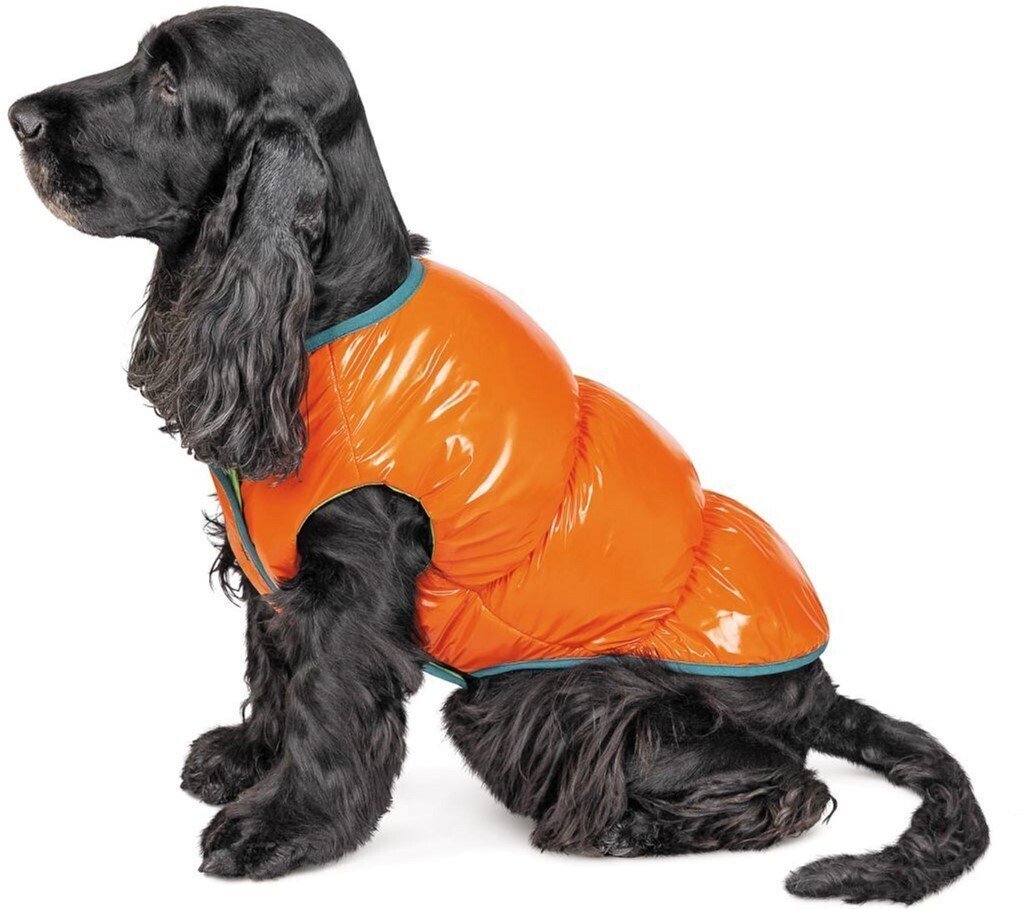Жилет для собак Pet Fashion SPRING оранжевый M фото 2