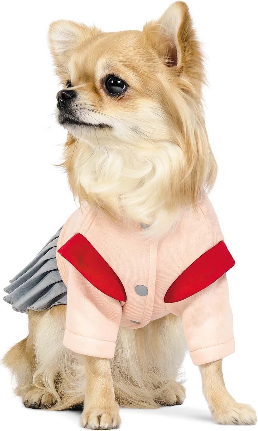 Костюм для собак Pet Fashion дівчинка Спейс Sфото2