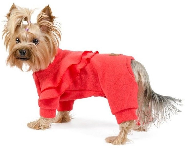 Комбінезон для собак Pet Fashion дівчинка Крісті Mфото3