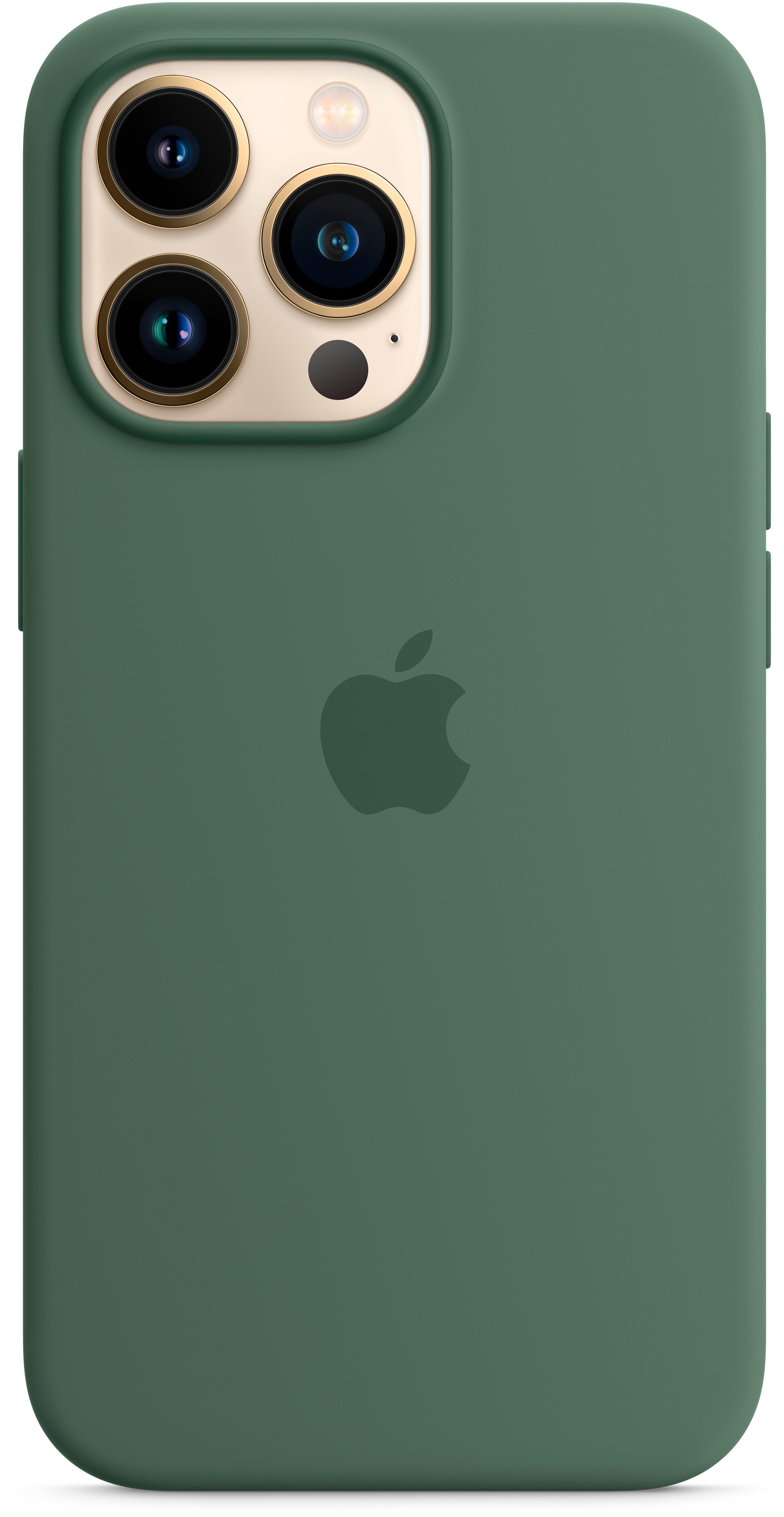 Чехол Apple для iPhone 13 Pro Silicone Case with MagSafe, Eucalyptus (MN673ZE/A) фото 3