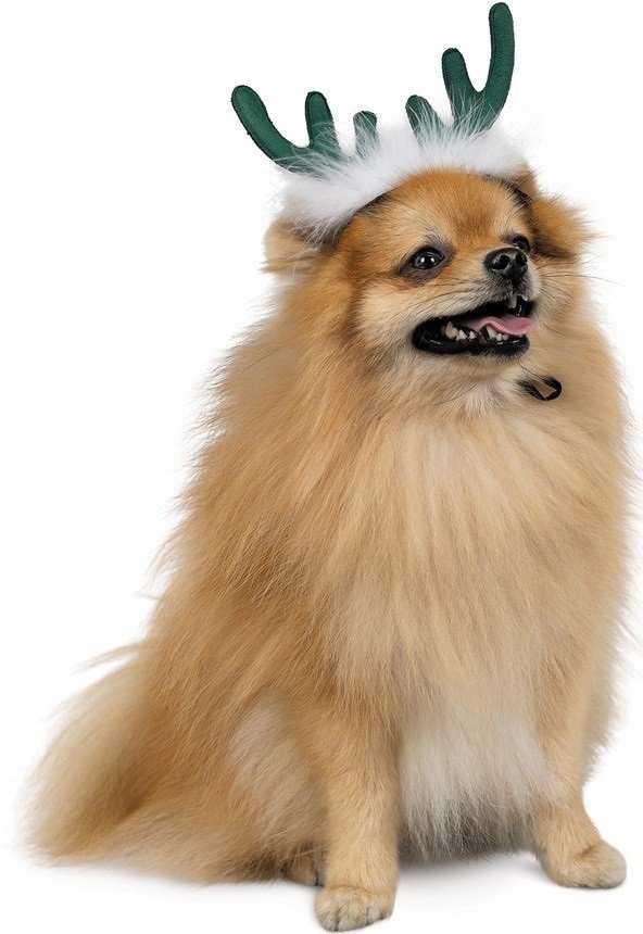 Аксессуар-рожки Pet Fashion "Deer" для собак, размер M-L, зеленые фото 2