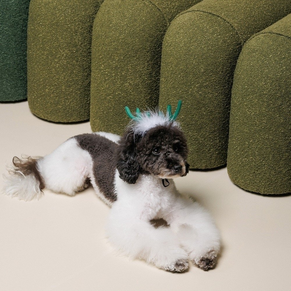Аксессуар-рожки Pet Fashion "Deer" для собак, размер M-L, зеленые фото 4
