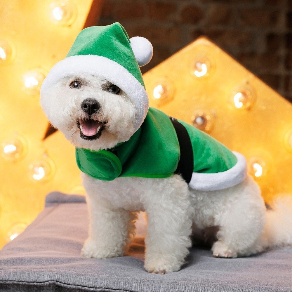 Попона Pet Fashion "Santa" для собак, размер М, зеленая фото 6