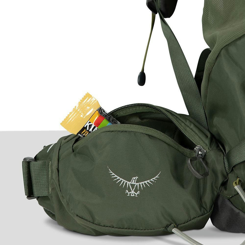 Рюкзак Osprey Kestrel 38 bonsai green - S/M - зеленый фото 6