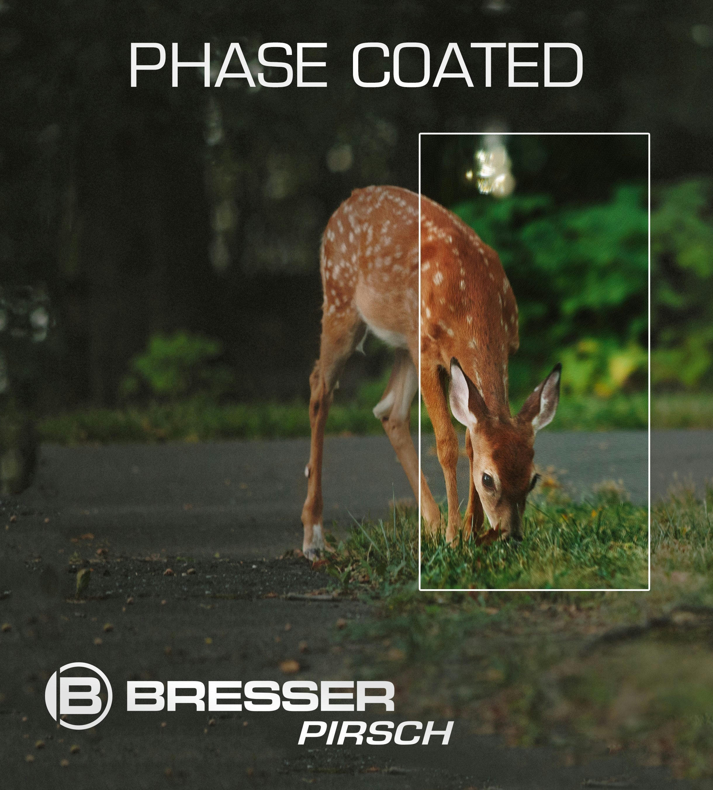 Бінокль Bresser Pirsch 8x56 WP Phase Coating (1720856)фото