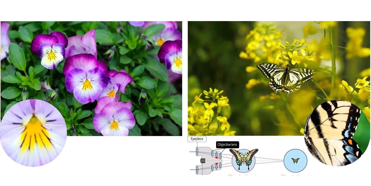 Бінокль Pentax UP 6.5x21 Papilio II (62001)фото9