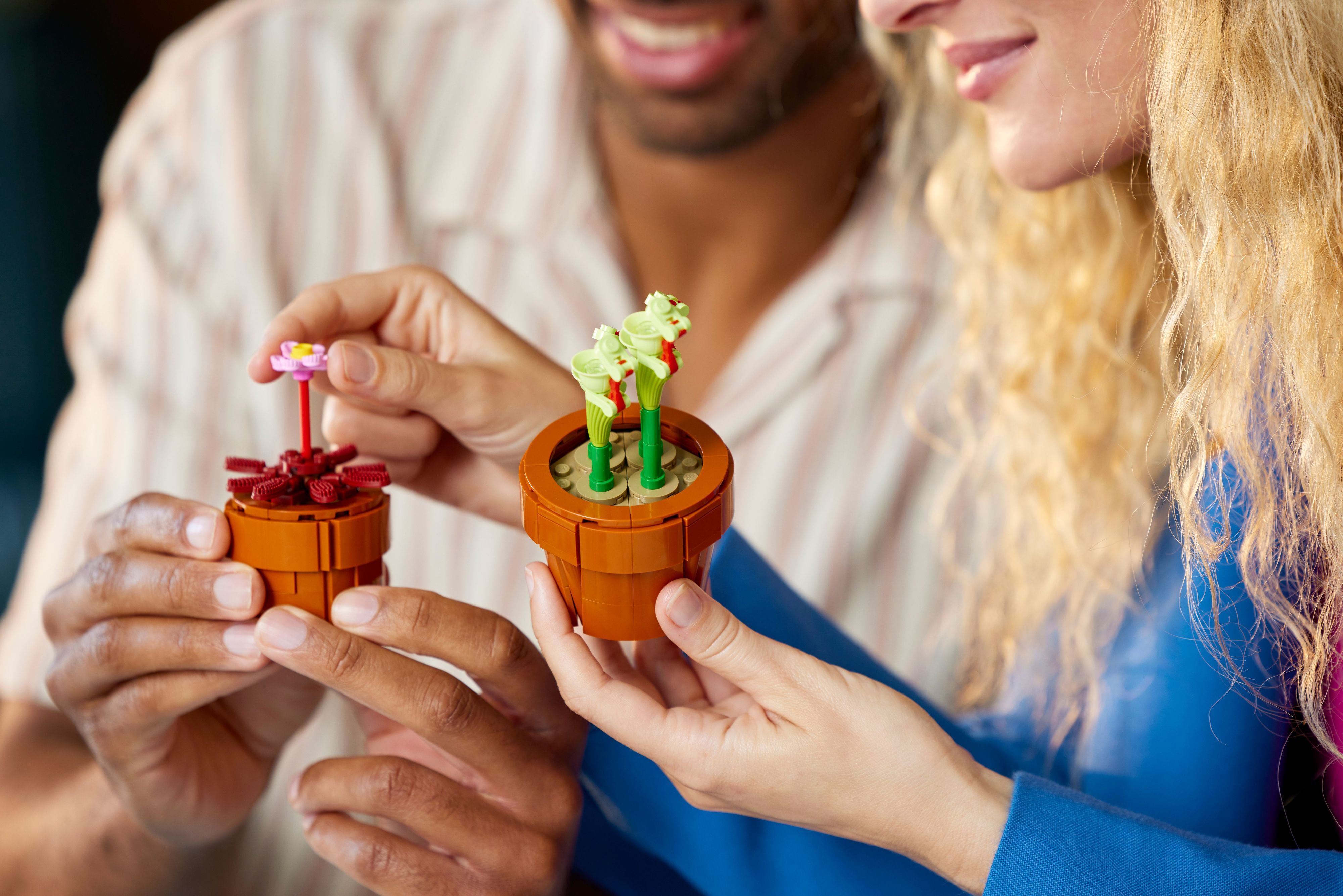 LEGO 10329 Icons Маленькі квітифото4