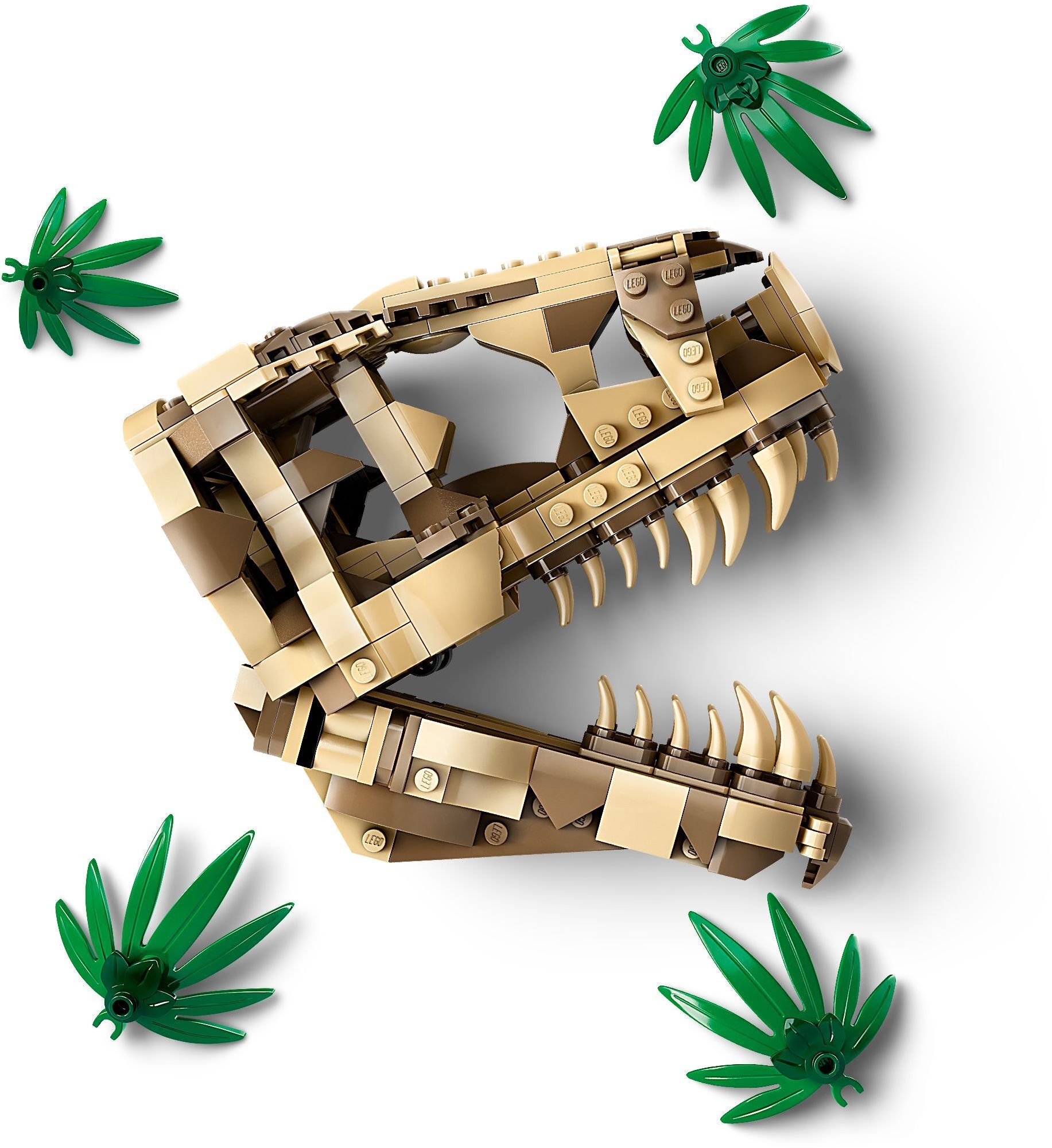LEGO Jurassic World Окаменелости динозавров: череп тираннозавра 76964 фото 4